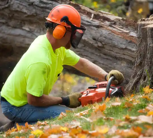 tree services Pink Hill